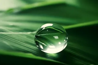 树叶露珠水滴抓拍摄影图