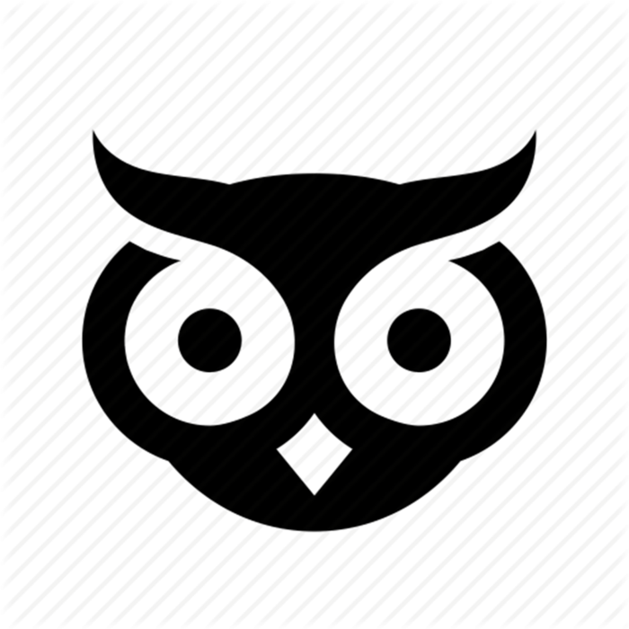 猫头鹰剪影