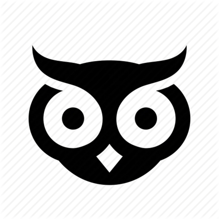猫头鹰剪影