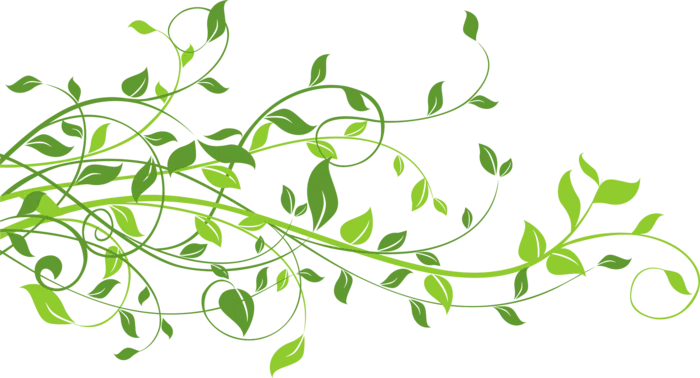 绿植植物藤条素材春季谷雨
