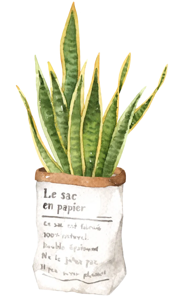 盆栽花草植物免扣植物水彩插画设计素材