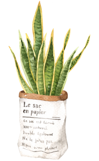 盆栽花草植物免扣植物水彩插画设计素材