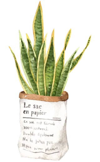 盆栽花草植物免扣植物水彩插画设计素材