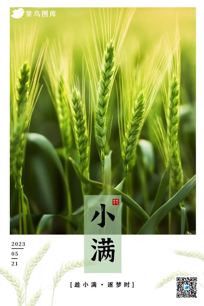 小满节气小麦麦穗绿色小清新海报 (2)(2000x3000)psd模版下载