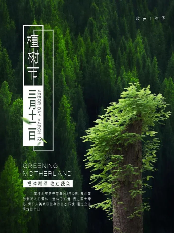 植树节3.12海报psd模版下载