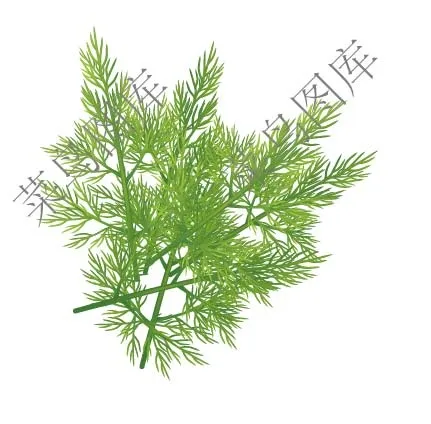 艾草矢量图ai矢量模版下载