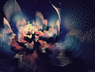 绝美光幻之花高清JPG素材