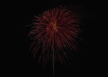 烟花图片 烟花图片