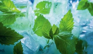 清凉夏日冰块薄荷水背景