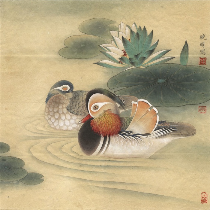 睡莲鸳鸯荷花工笔画