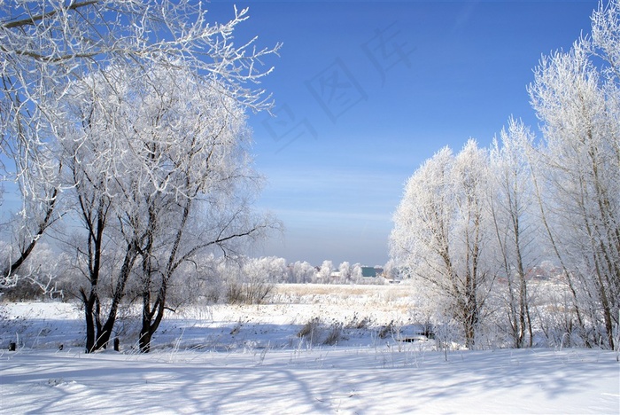 冬季冰雪风景图片