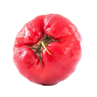 65莲雾 (3)水果超市商品白底图免抠实物摄影png格式图片透明底