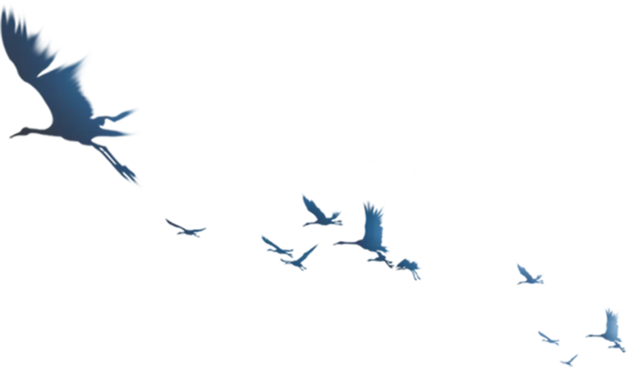 中国古风元素仙鹤