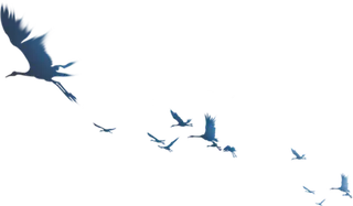 中国古风元素仙鹤