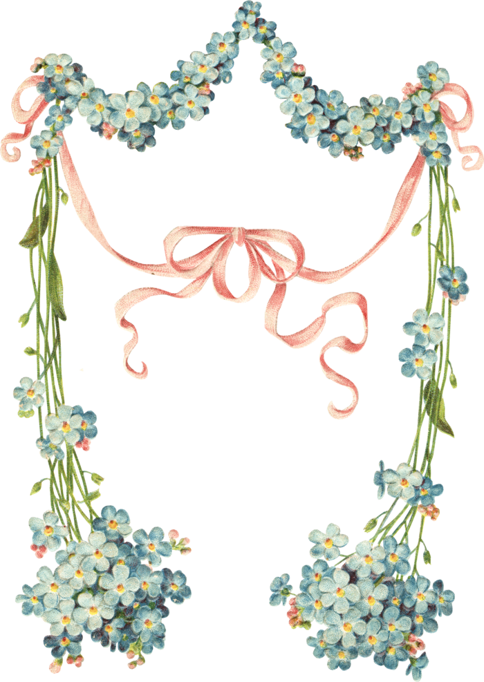 古典花卉png免扣素材