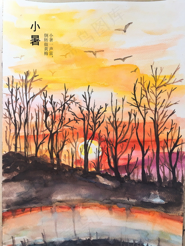 手绘小暑节气图片