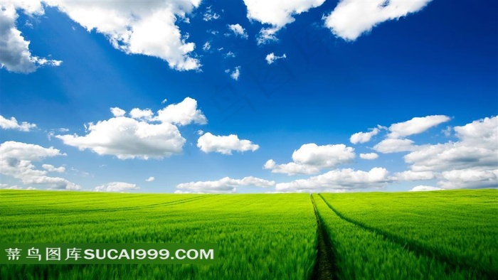 蓝天白云绿草