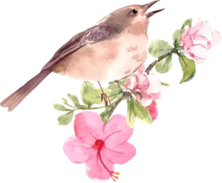 插画春鸟免抠素材