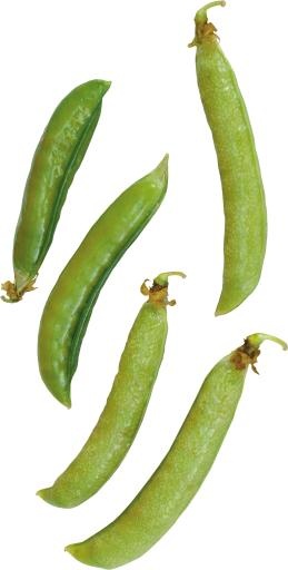 豌豆免抠(2923x5765)