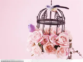 鸟笼花篮里吊着的一束粉红玫瑰花