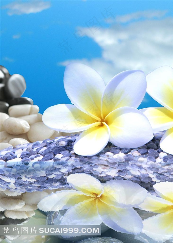 花朵高清装饰画设计素材