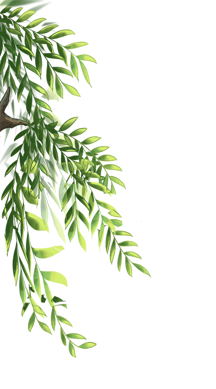 清新古风装饰柳树