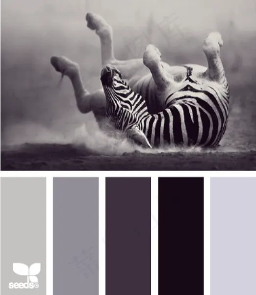 动物配色色卡色彩搭配 动物配色色卡色彩搭配