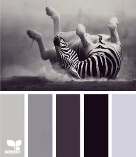 动物配色色卡色彩搭配 动物配色色卡色彩搭配