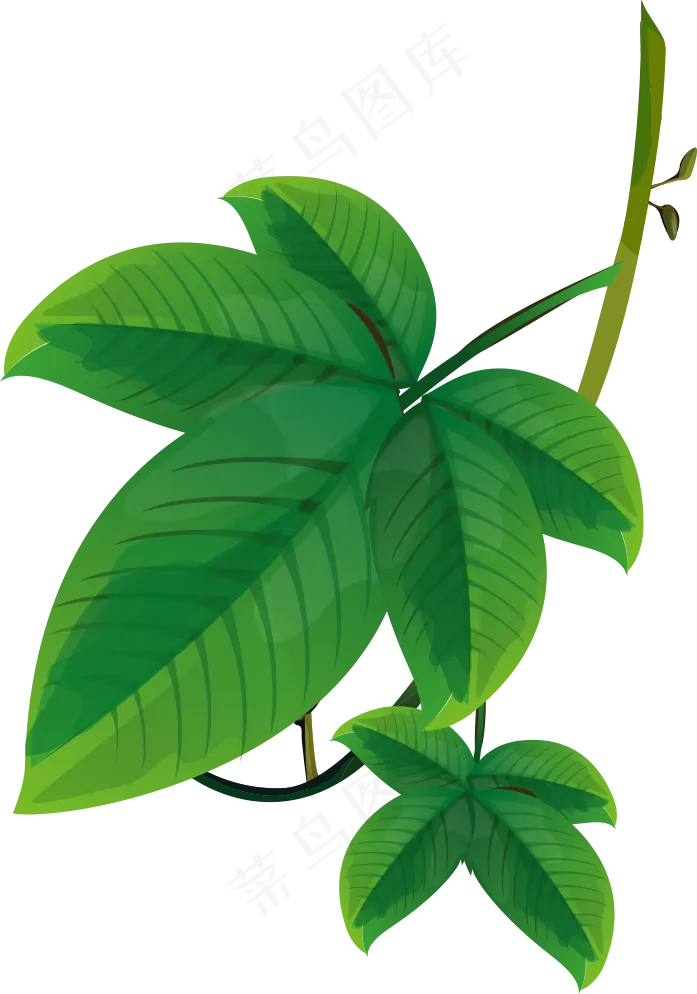 手绘草本中药药材