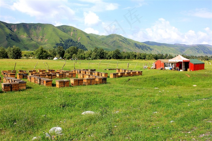 美丽草原蜜蜂蜂箱