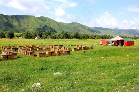 美丽草原蜜蜂蜂箱 美丽草原蜜蜂蜂箱