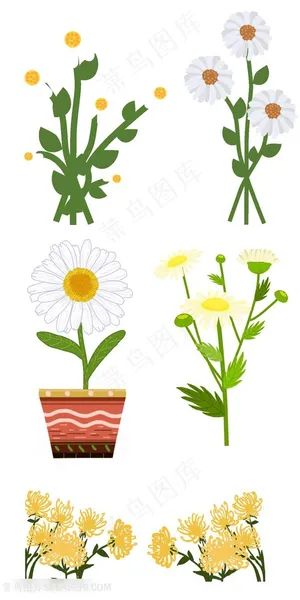 菊花 黄菊花 野菊花 山菊花 白菊花 植物花卉大全 鲜花菊花卡通插画图片 菊花 黄菊花 野菊花 山菊花 白菊花 植物花卉大全 鲜花菊花卡通插画图片
