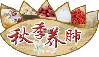 2021新款时尚秋季养生养肺吊旗