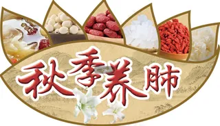 2021新款时尚秋季养生养肺吊旗