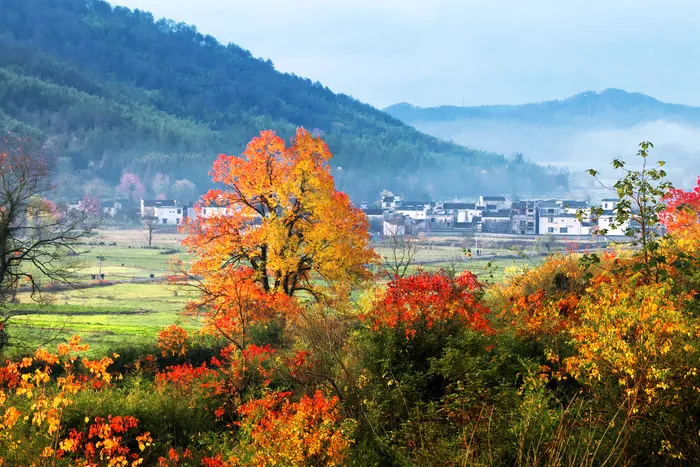 安徽塔川风景图片-第6张
