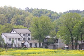 山村油菜花摄影图