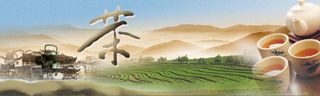茶园 茶庄 背景