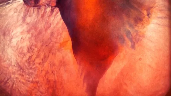 画, 橙色的, 水彩, 运动, 有机的, 颜色, 丰富多彩的