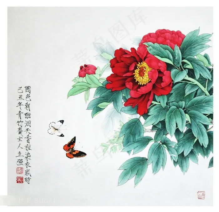 国画牡丹素材
