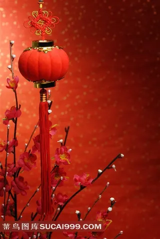 红灯笼树枝与喜庆背景民俗摄影高清图片
