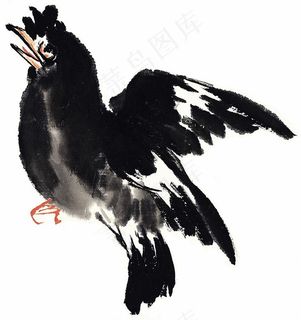 画鸟设计摄影图片