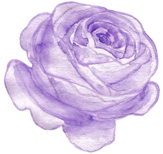 唯美森系手绘水彩花朵 免抠