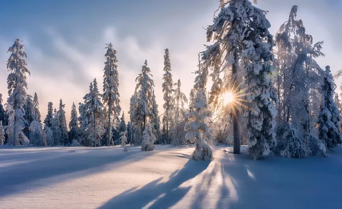 圣诞节冬天背景风景