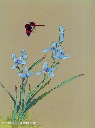 工笔画兰花与蝴蝶