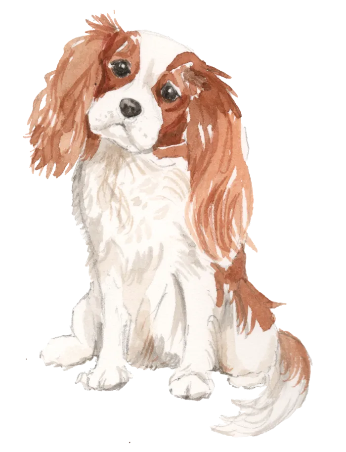 狗狗水彩画插画免扣素材可爱宠物狗