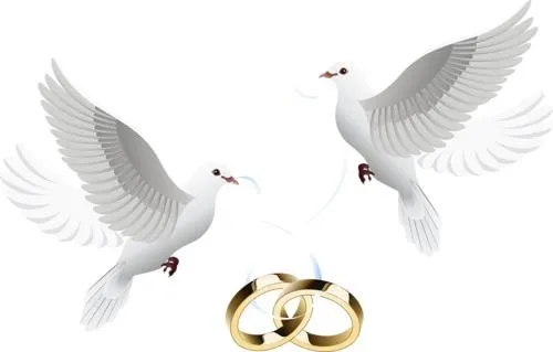 婚礼 PNG免抠(500x319)