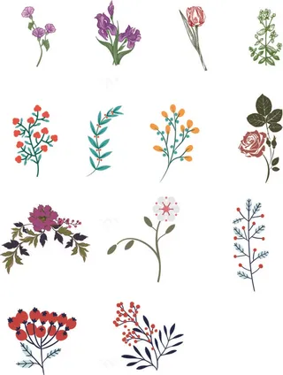 多样性种类花花