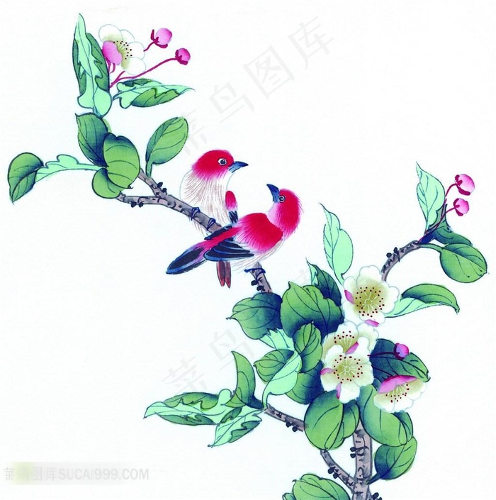 工笔画杏花枝头的小鸟