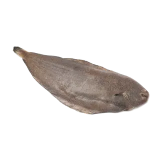 鱼类(18)海鲜超市商品红酒白底图免抠实物摄影png格式图片透明底