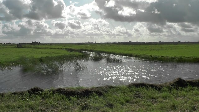 天空, 云, 水路, 水, 草地, 圩田, 风